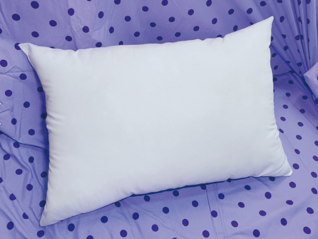 客製化抱枕-JIA-XING INDUSTRY CO., LTD.