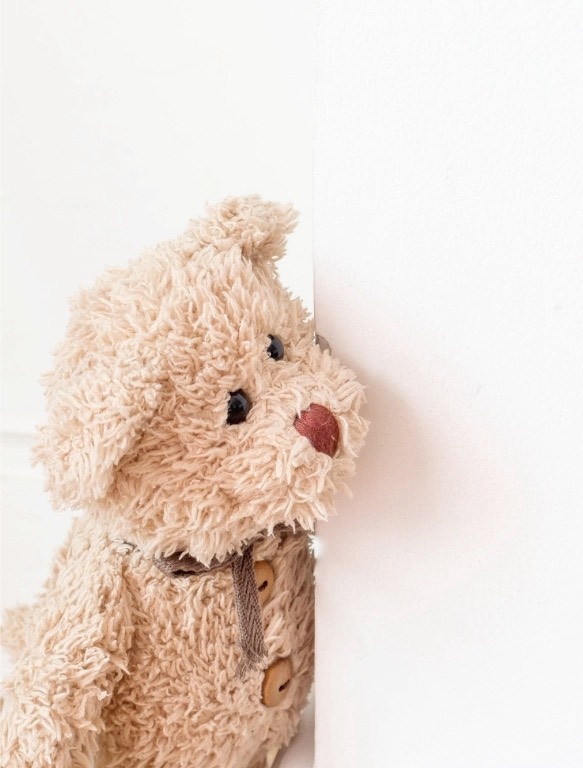 客製化抱枕 內容4-JIA-XING INDUSTRY CO., LTD.